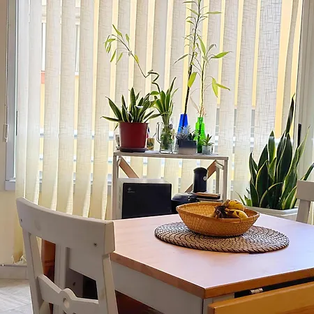 Despierta Junto Al Mar